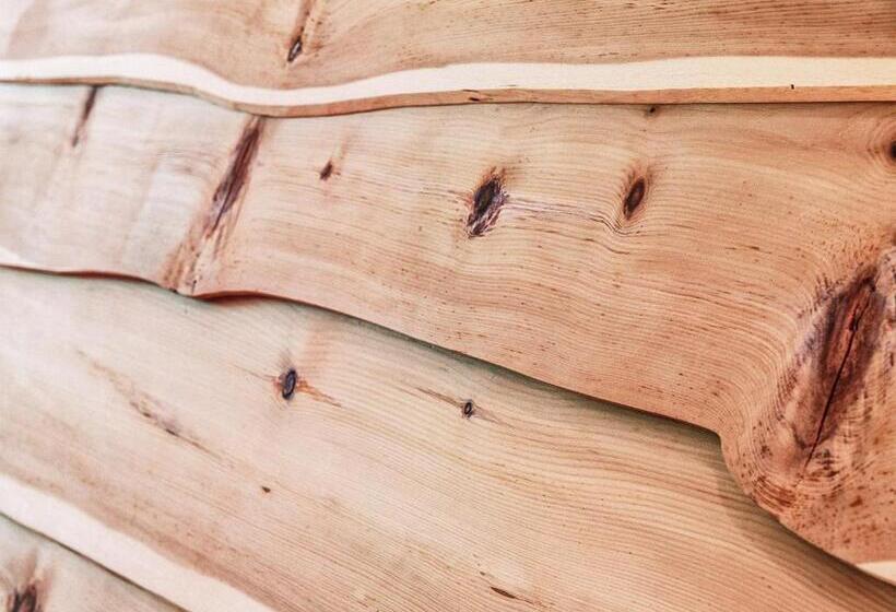 Трехместный Номер Deluxe, Salnerhof Superior Lifestyle Resort