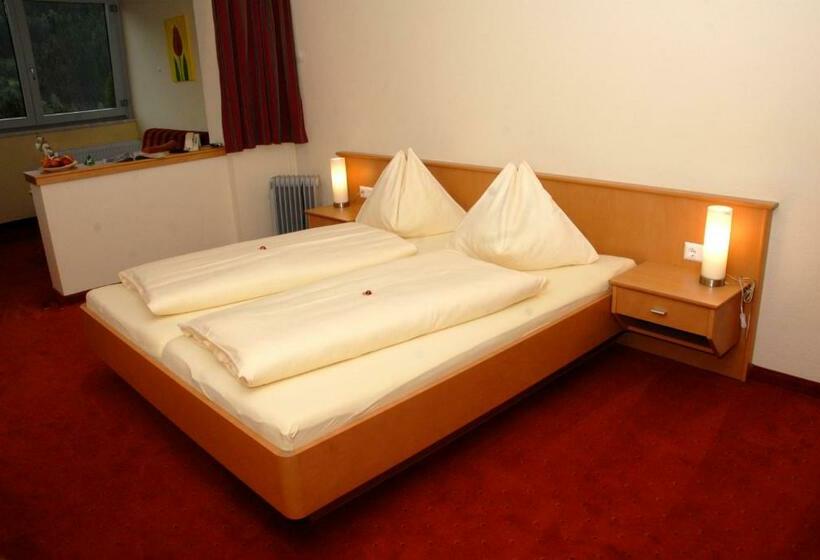 スタンダードルーム, Sonnenheim