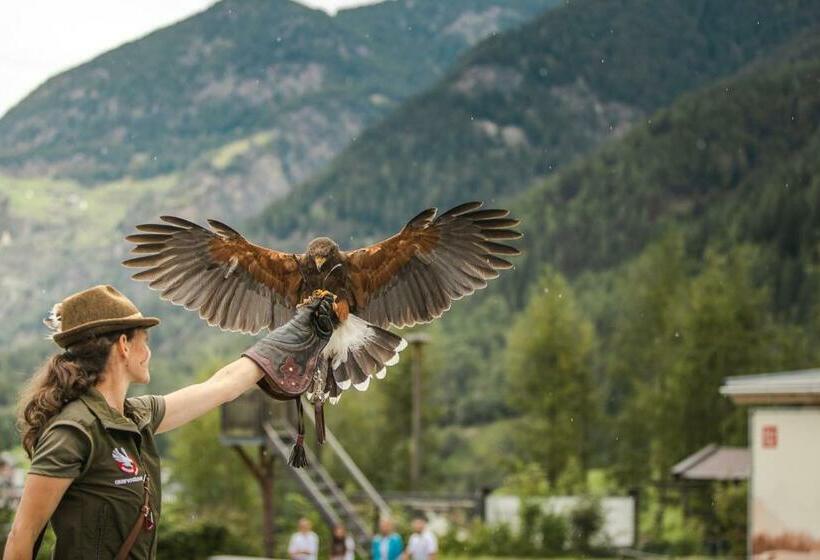 小型套房, Venter Bergwelt