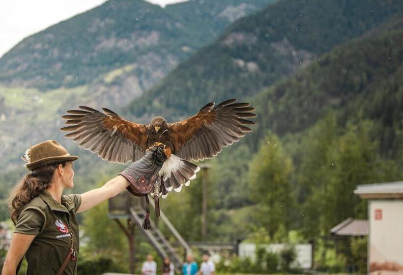 Номер Стандарт с Балконом, Venter Bergwelt