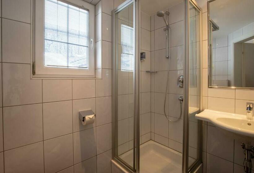 חדר סטנדרט יחיד, The Hotel   Himmlisch Wohlfühlen