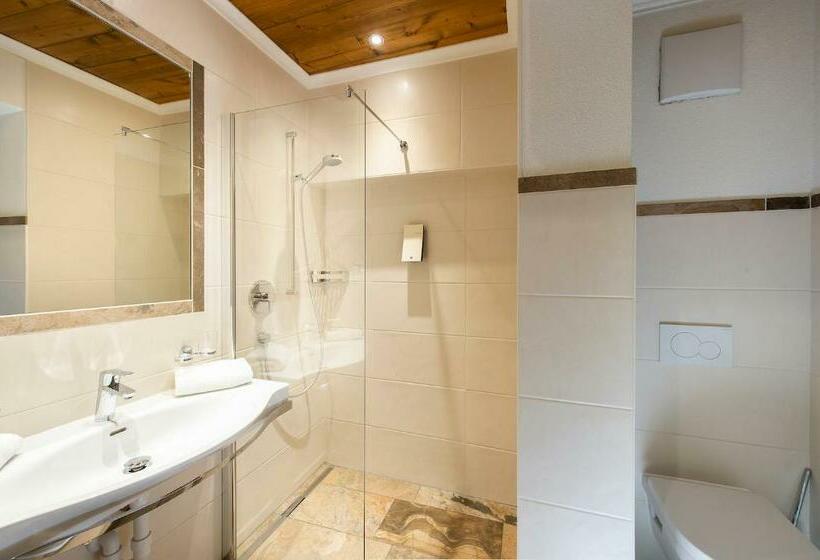 스탠다드 룸, Alpenwellnesshotel Gasteigerhof