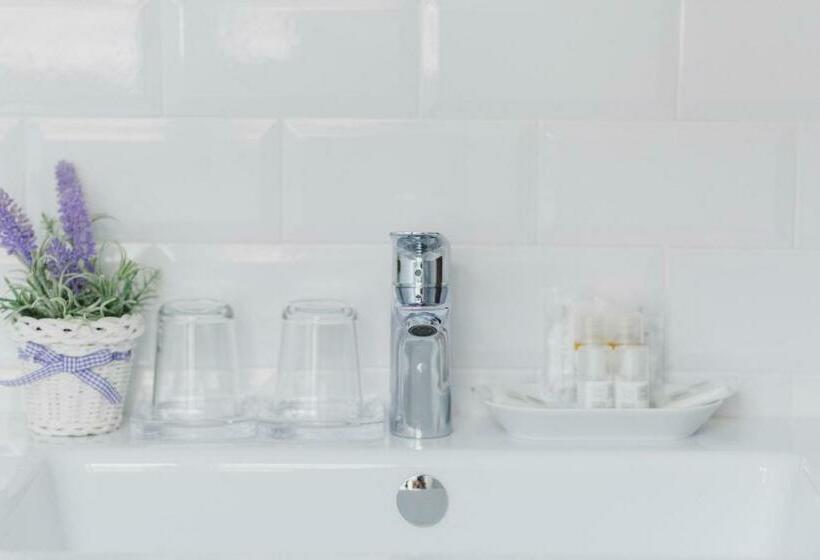 اتاق استاندارد با چشم‌انداز شهر, The Artists' Palace Florence