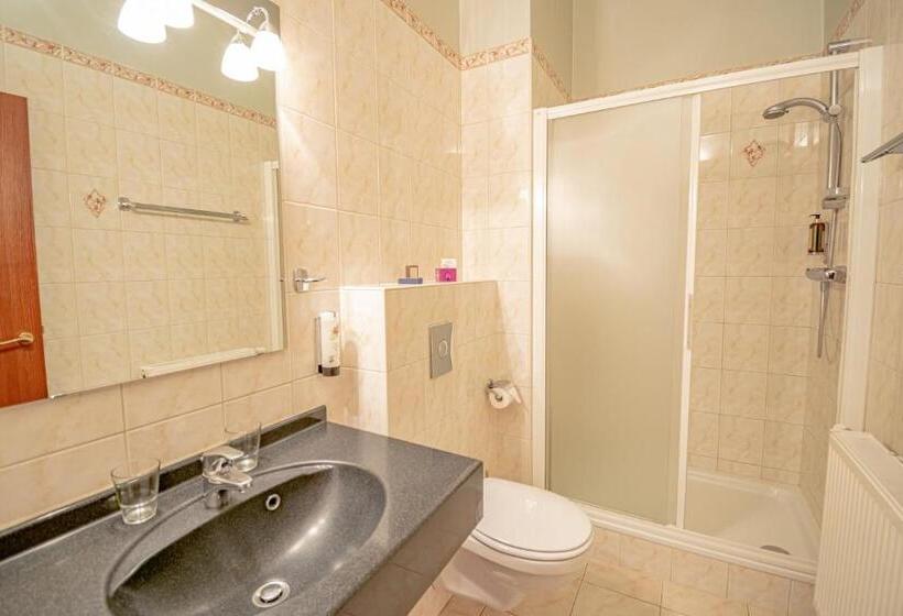 חדר סטנדרט, Des Comtes Durbuy