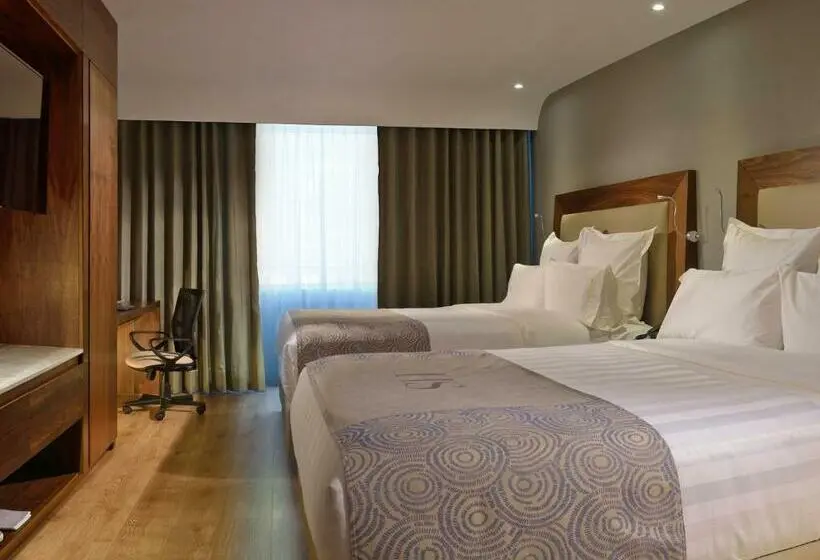 Deluxe-huone, Hs Hotsson Hotel Irapuato