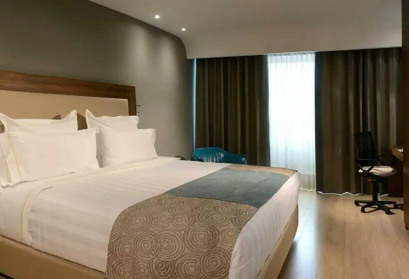 Standard-huone, Hs Hotsson Hotel Irapuato