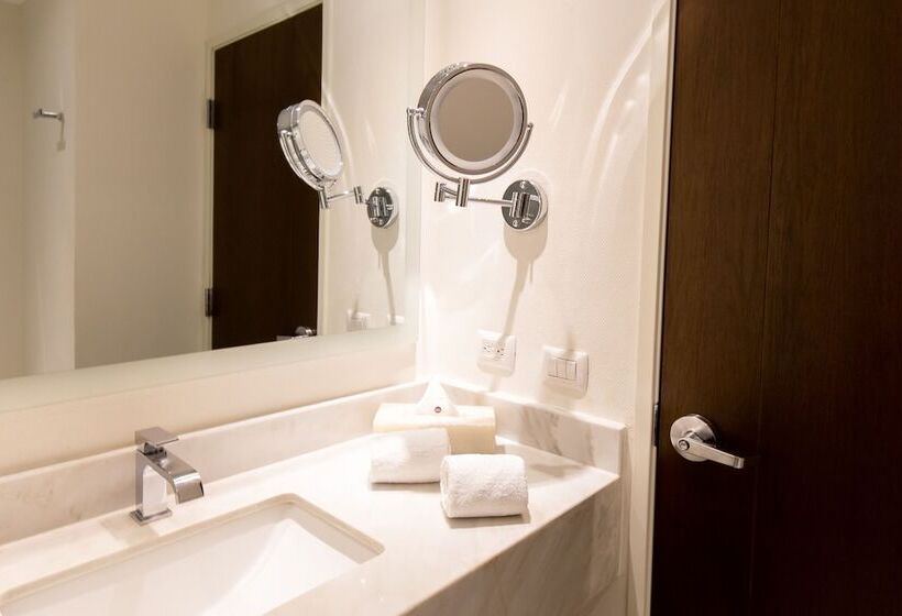 デラックスルーム, Hs Hotsson Hotel Irapuato