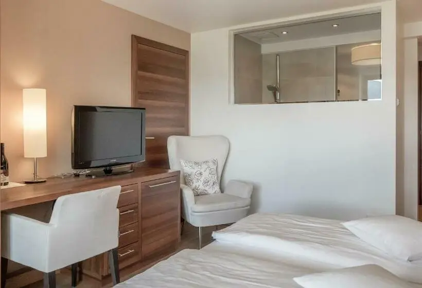 Standard-huone Järvinäkymä, Seehotel Restaurant Lackner