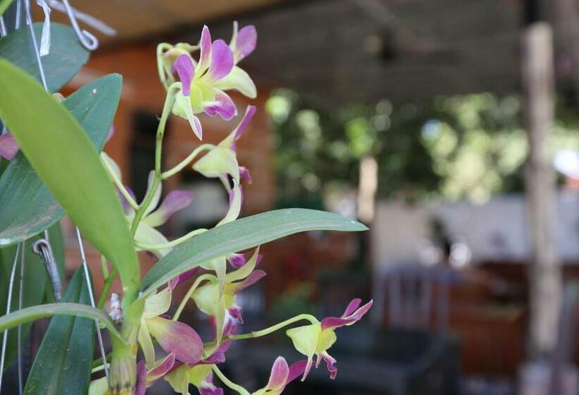 エコノミールーム, Eco Home Siem Reap Homestay