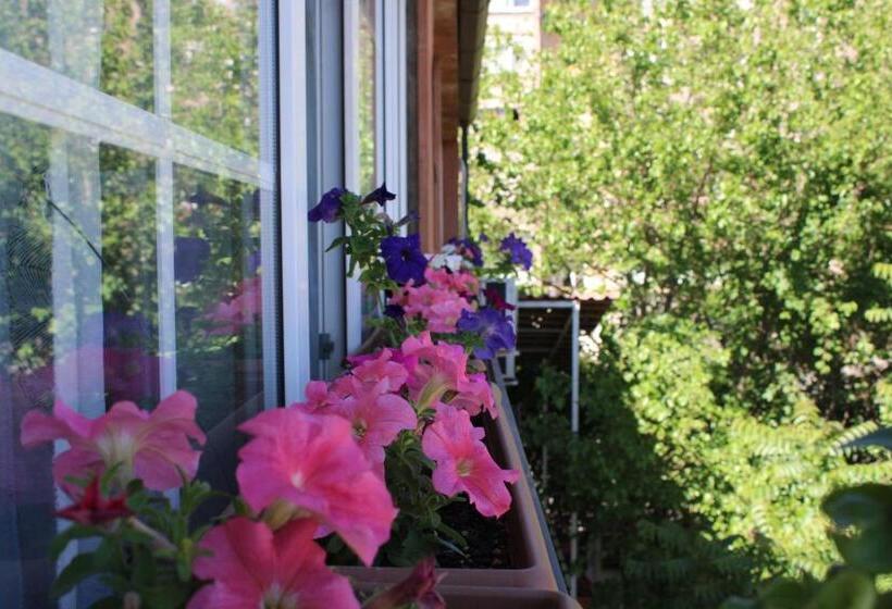 اتاق اکونومی, Jr S House