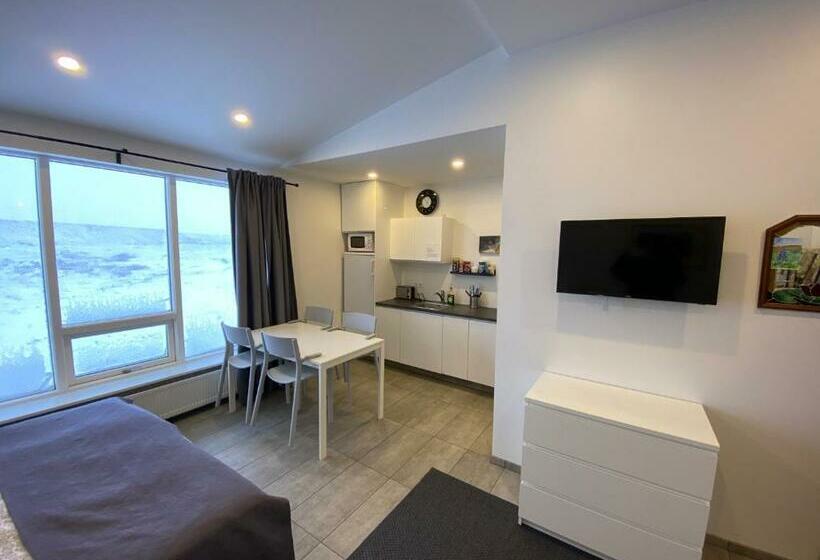 اتاق استاندارد, Ace Guesthouse