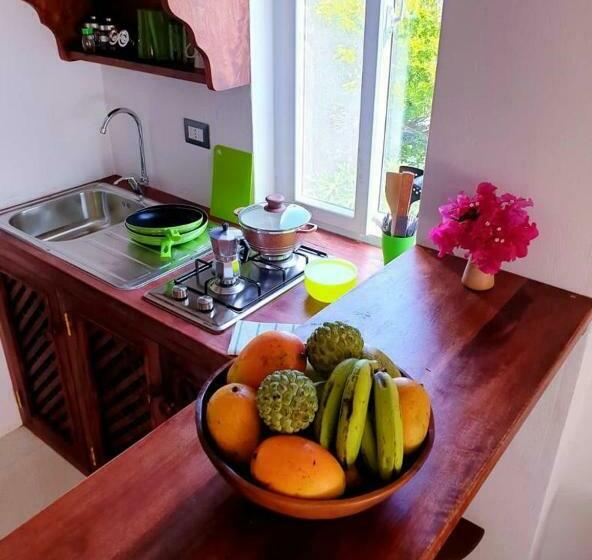 استودیوی لوکس, Simba House