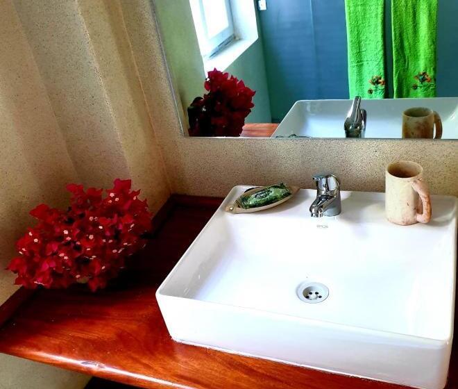 استودیوی لوکس, Simba House