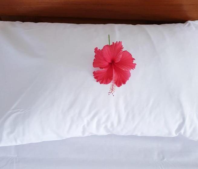 استودیوی لوکس, Simba House