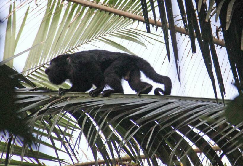 ‫فيلا غرفة نوم واحدة, Sun Creek Lodge