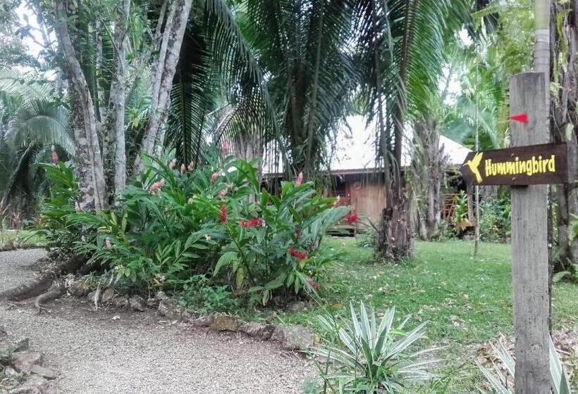 ‫فيلا غرفة نوم واحدة, Sun Creek Lodge