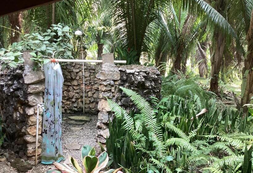 ‫فيلا غرفة نوم واحدة, Sun Creek Lodge