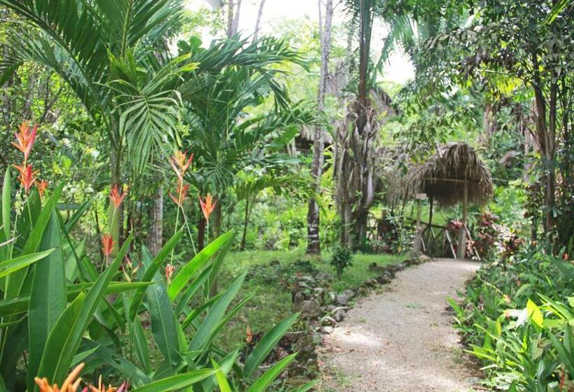 بنجلو قياسى مطلّ علي الحديقة, Sun Creek Lodge