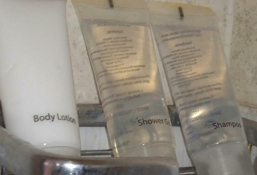 Economy Room, Dreamplace Bed And Breakfast Gigiri