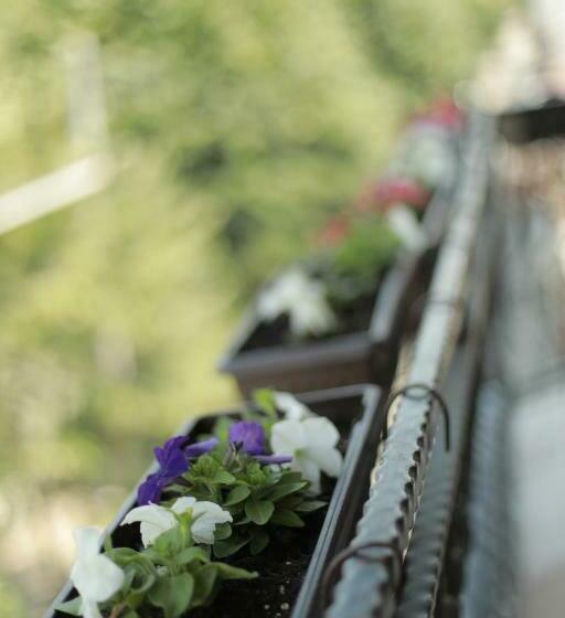 اتاق استاندارد با بالکن, Cleon