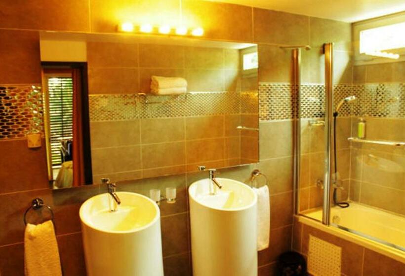 اتاق لوکس, Boutique Hotel Particulier