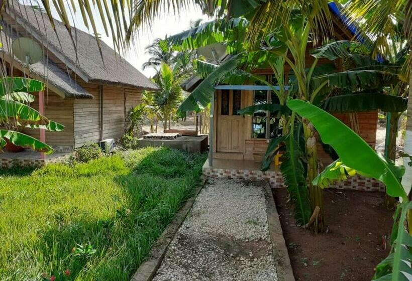 بانگلوی سوپریور, Restaurant Chez Theo