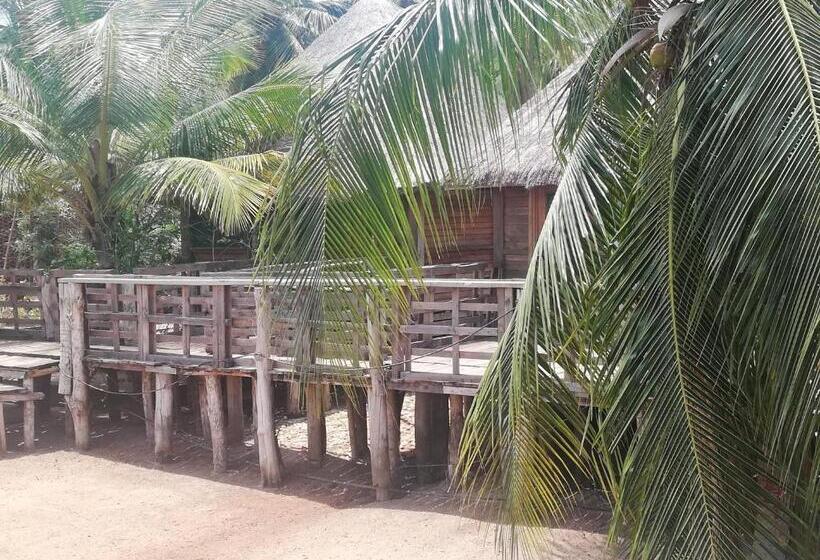 بانگلوی سوپریور, Restaurant Chez Theo