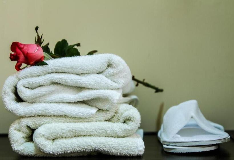 高级三人间, Mga Hostel & Tours