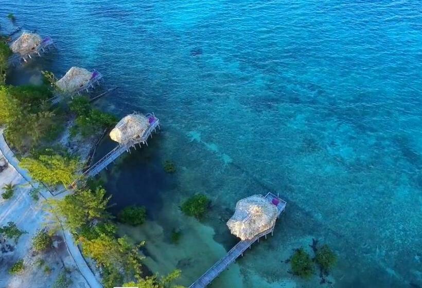 프리미엄 방갈로, Thatch Caye Resort A Muy'ono Resort