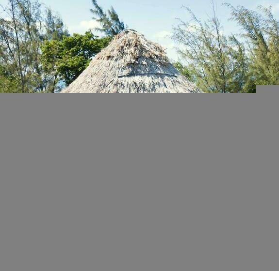 בקתה, Thatch Caye Resort A Muy'ono Resort