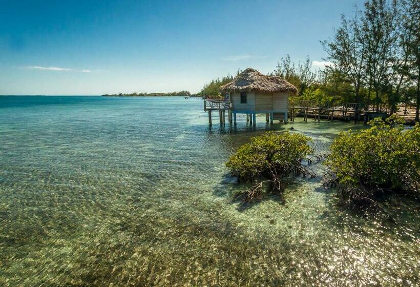 בקתת פרמיום, Thatch Caye Resort A Muy'ono Resort