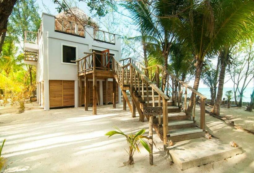 בקתה, Thatch Caye Resort A Muy'ono Resort