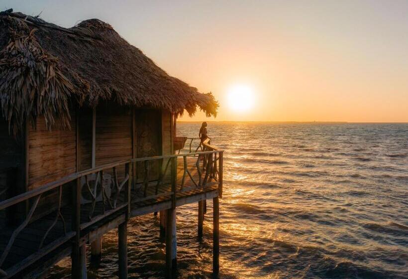 בקתת פרמיום, Thatch Caye Resort A Muy'ono Resort