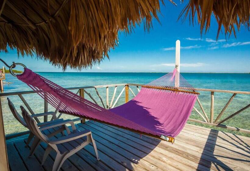 בקתה סטנדרטית, Thatch Caye Resort A Muy'ono Resort