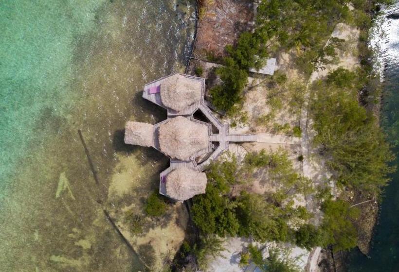 בקתה סטנדרטית, Thatch Caye Resort A Muy'ono Resort