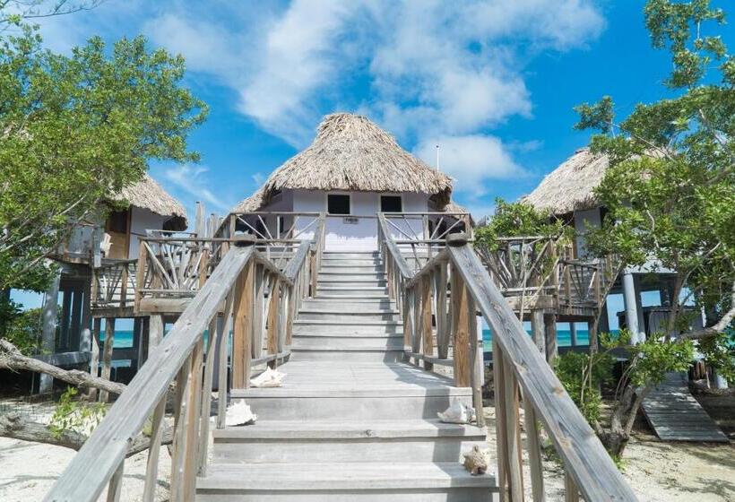 בקתה סטנדרטית, Thatch Caye Resort A Muy'ono Resort