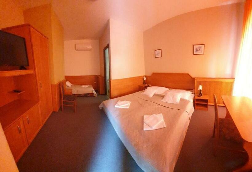 スタンダードルーム, Delanta Panzio