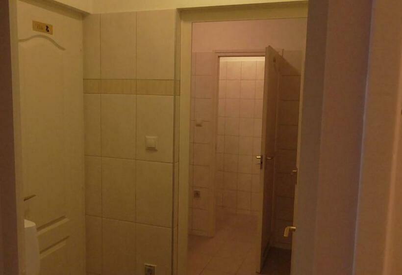 اتاق استاندارد با سرویس بهداشتی مشترک, Pilóta Panzió