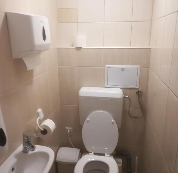 اتاق استاندارد, Pilóta Panzió