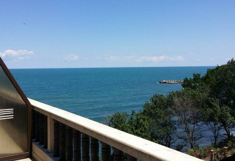 Номер Стандартный с Видом, Continental