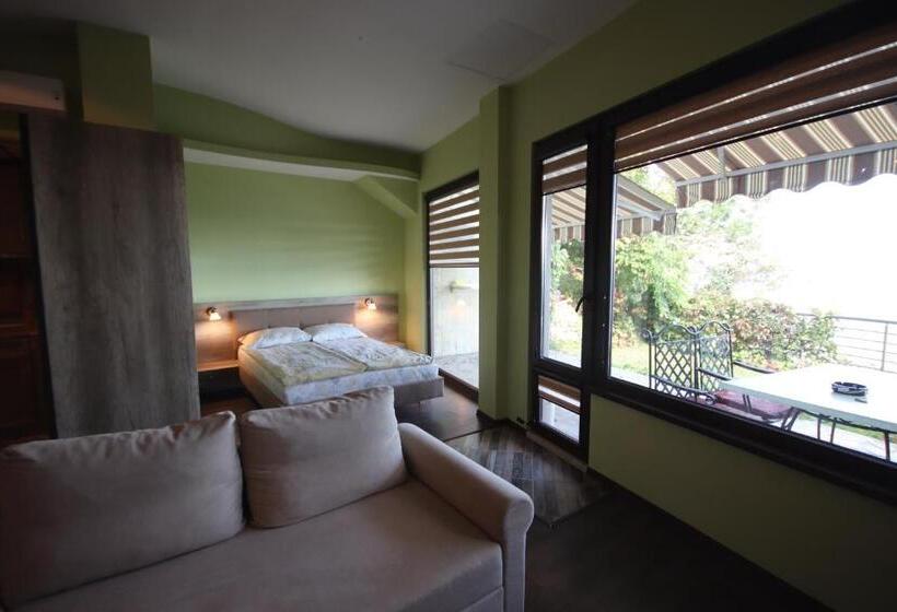 Студия Стандарт Вид на Море, Continental