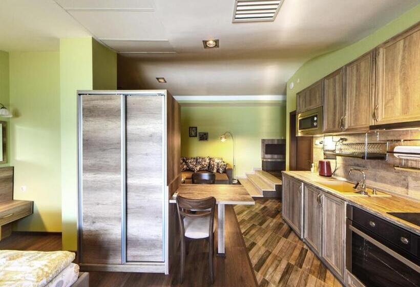 Студия Стандарт Вид на Море, Continental