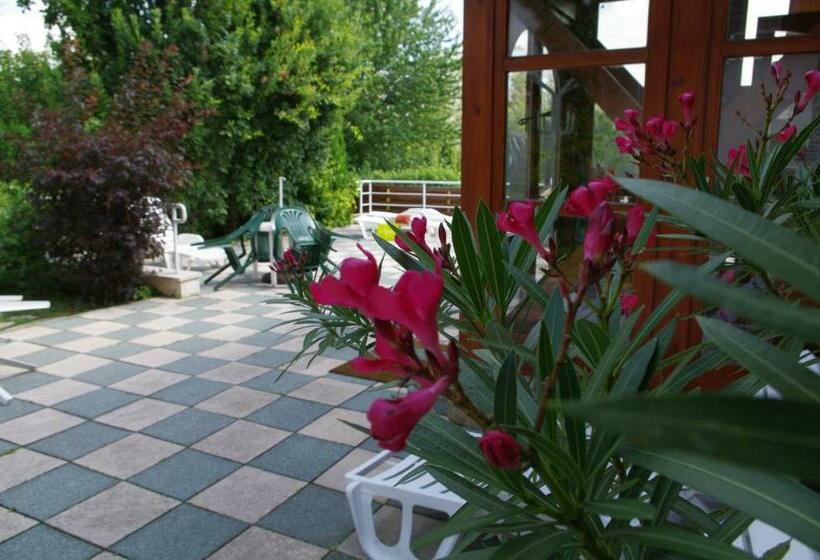 스탠다드 룸, ágnes