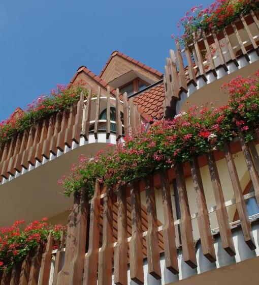 스탠다드 룸, ágnes