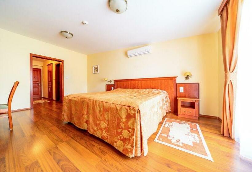 Номер Стандарт, Pannon Hotel Bejelentkezés 20 óráig, Check In Until 20 O Clock, Einchecken Bis 20 Uhr