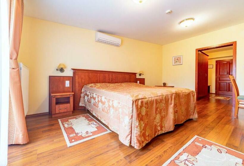 Номер Стандарт, Pannon Hotel Bejelentkezés 20 óráig, Check In Until 20 O Clock, Einchecken Bis 20 Uhr