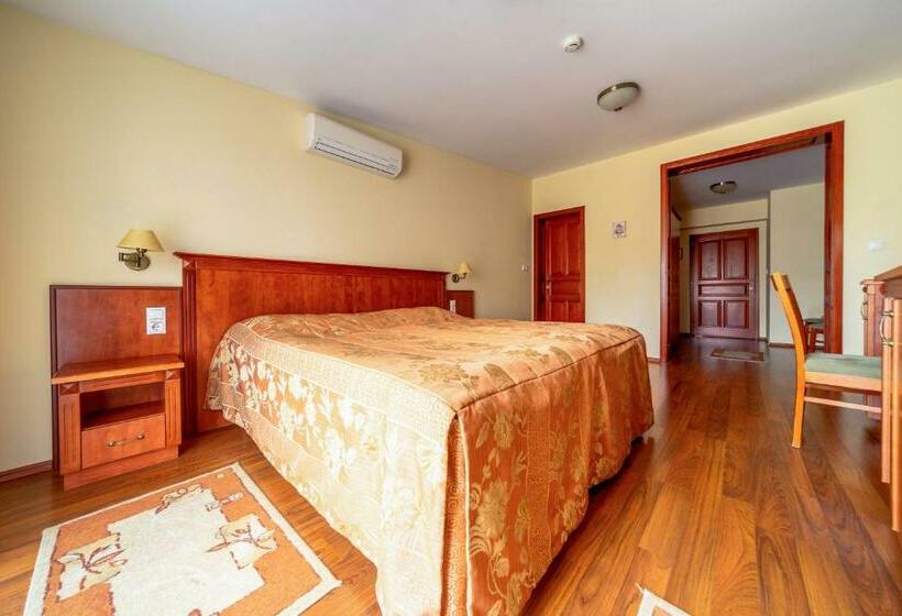 Номер Стандарт, Pannon Hotel Bejelentkezés 20 óráig, Check In Until 20 O Clock, Einchecken Bis 20 Uhr