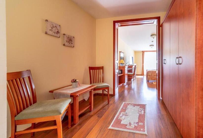 Номер Стандарт, Pannon Hotel Bejelentkezés 20 óráig, Check In Until 20 O Clock, Einchecken Bis 20 Uhr