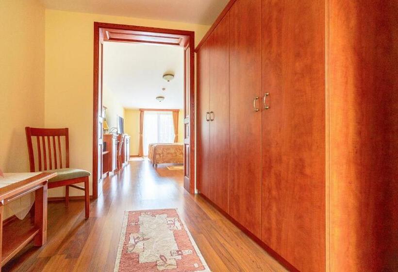 Номер Стандарт, Pannon Hotel Bejelentkezés 20 óráig, Check In Until 20 O Clock, Einchecken Bis 20 Uhr