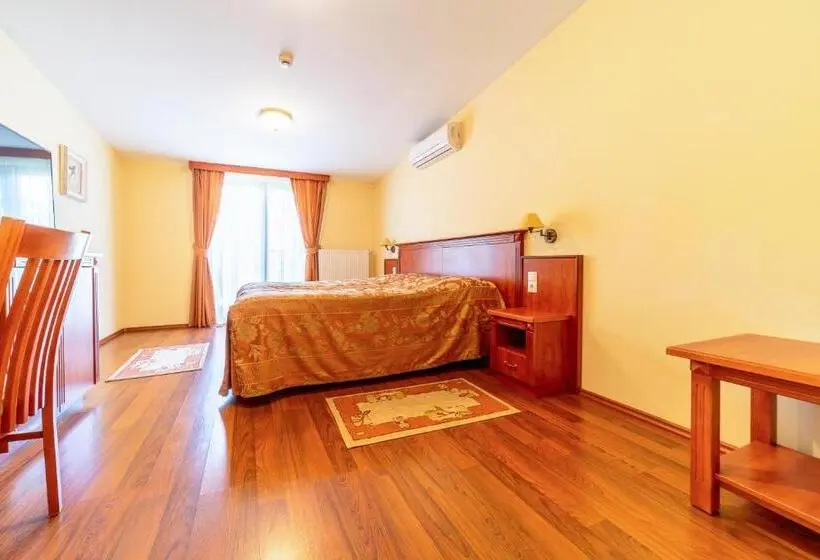 Standard-huone, Pannon Hotel Bejelentkezés 20 óráig, Check In Until 20 O Clock, Einchecken Bis 20 Uhr